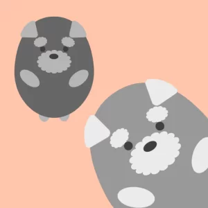 ふたりのシュナウザー