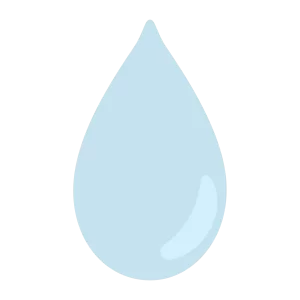 雨の雫
