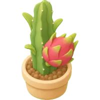 Baby Dragon Fruit