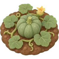 Baby Pumpkin Patch