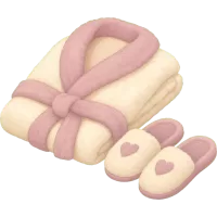 bathrobe and slippers
