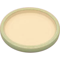 Big Round Dish