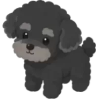 Black Schnoodle Pup