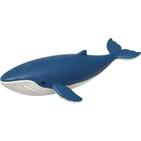 Blue Whale