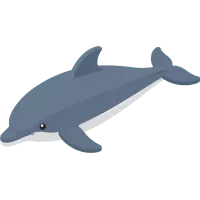Bottlenose dolphin