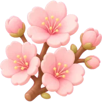 Cherry Blossom