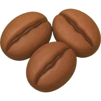 Coffee Bean