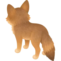 coyote (Back)