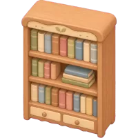 Cozy Bookshelf