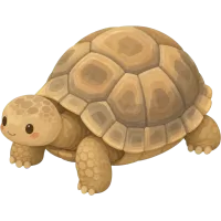 desert tortoise