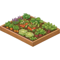 garden bed