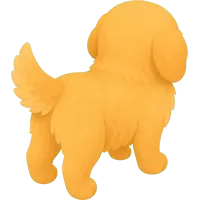 golden retriever (Back)