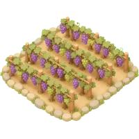 Grape Patch