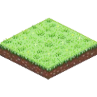 grassy lawn