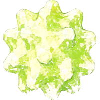 Green Konpeitō Candy