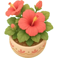 Hibiscus Bloom