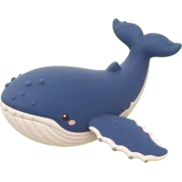 Humpback Whale