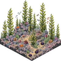 kelp forest