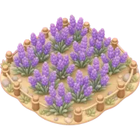 Lavender Patch