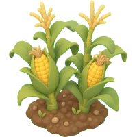 Little Corn