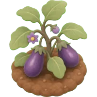 Little Eggplant
