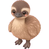 Little Emu