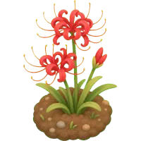 Little Spider Lily