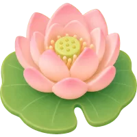 Lotus Bloom