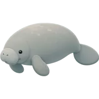 Manatee