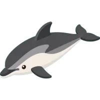 Pacific White-sided Dolphin