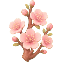 Peach Blossom