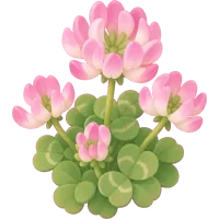 Pink Clover