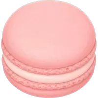 Pink Macaron