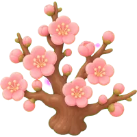 Plum Blossom