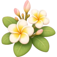 Plumeria Bloom