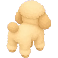 poodle (Back)