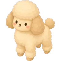 poodle