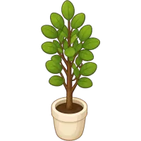 Potted Plant