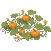 pumpkin vine (Back)