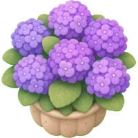Purple Hydrangea