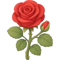 Red Rose