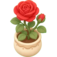 Red Rose