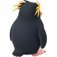 Rockhopper penguin (Back)