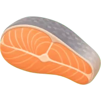 Salmon Slice