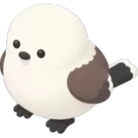 shimaenaga