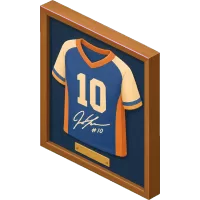signed sports jersey