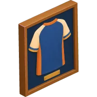 signed sports jersey (Back)
