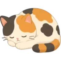 Sleepy Calico Cat