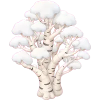 Snowy Birch