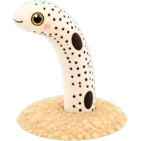 Spotted garden eel